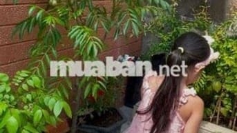 CHO THUÊ PHÒNG TRỌ GIÁ RẺ GIỜ GIẤC TỰ DO QUẬN BÌNH TÂN LIÊN KHU 1-6