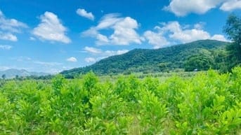 2.2 Mẫu Đất Gần Hồ Núi Đất Tân Tiến Giá Cực Rẻ Chỉ 3,5 Tỷ/Mẫu