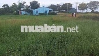 Bán gấp lô đất ngộp diện tích khủng đã lên thổ xây dựng thoải mái