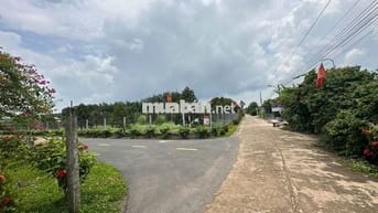 💥Bán nhanh đất mặt tiền DH507–250m² chỉ 420tr, sổ riêng, thổ cư 100m²!