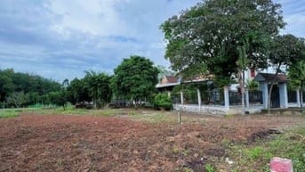 Bán gấp lô đất mặt tiền DH507, An Long, TP.HCM – 500m²(10x50) 100m² th