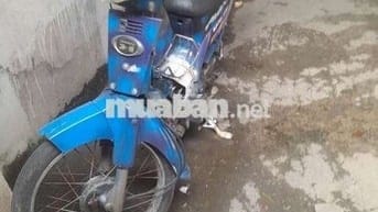 Bán xe số như hình