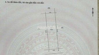 Hàng hiếm Tam Trinh, Mai Động, Hoàng Mai, 60 m2, mặt tiền 4m, 13 tỷ