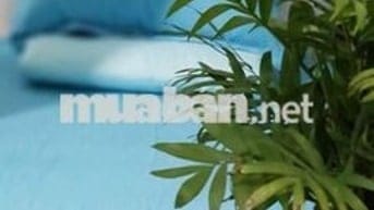 KTX cho Nam, Nữ SV và Người đi làm Vị trí vàng tại Q.1