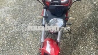 🌈 Ducati Monter Mini 2021