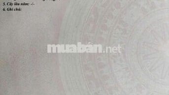 Tôi bán Đất thổ cư, nở hậu, đường xe hơi, khu dân cư hiện hữu
