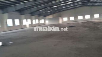 Bán kho xưởng 7.000m2 Trần Đại Nghĩa, Bình Tân, đất SKC , PCCC tự động