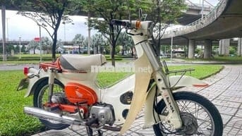 💥Cup Nhật 50cc  không cần bằng lái