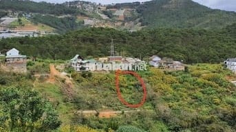 Bán gấp 520m2 đất P10, TP Đà Lạt, hẻm 31 cafe chồn, view rừng thông