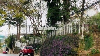 Cô Ba cần tiền cho con du học bán bớt lô đất P3 Đà Lạt giá ngộp sổ sẵn