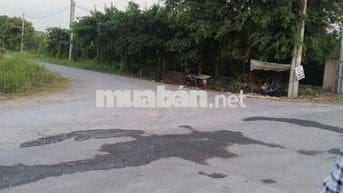 Đất 2 MT đường 10m ngay TT Bình Chánh (phủ hồng 2022)