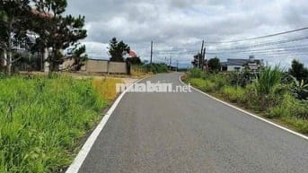 Bán Lô Đất Mặt Tiền Tôn Đản P2 (Dambri cũ) Bảo Lộc ngay Lý Thái Tổ