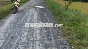 Cần bán lô đất vườn 918m2, sổ sẵn sang tên công chứng ngay 1.5 tỷ