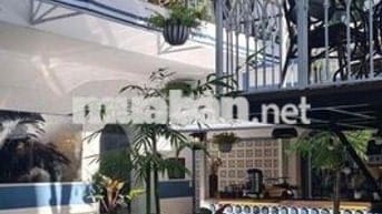 Nhà mặt tiền khu đường hoa - Phú Nhuận diện tích khủng giá 40tr