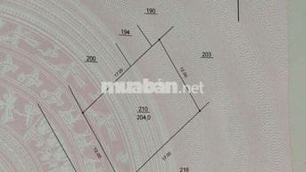 CHÍNH CHỦ BÁN ĐẤT mặt phố Thúy Lĩnh 204m2 giá 3x tỷ