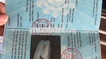 Bán xe nissan