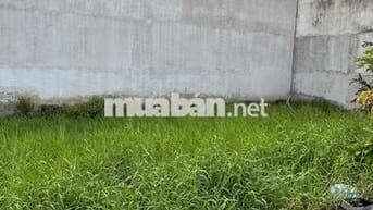 Tôi cần bán gấp miếng đất 4 - 12 Mỹ Hạnh Nam