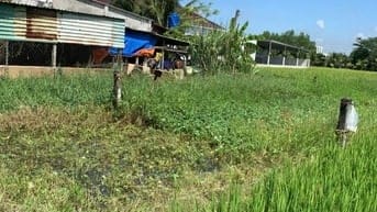 5x25 thổ cư, Ngay TT Đức Hòa, 550 triệu.sổ hồng riêng, đường ô tô 5m