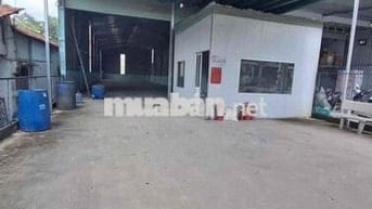 Xưởng TPK 500m/25tr Đường Cont Điện 3 pha