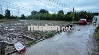 Đất thổ cư 1 xẹt đường DT 833 , đường betong xe du lịch 7 chỗ vi vu