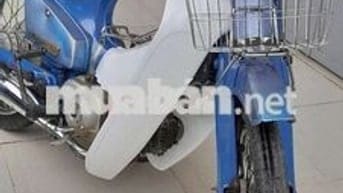 Cub 50/84 học sinh