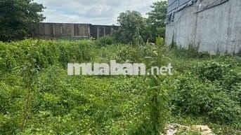 Cách trường THCS Tân Trụ 500m, sổ sẳn bán lỗ thu vốn 490tr , 140m2 .