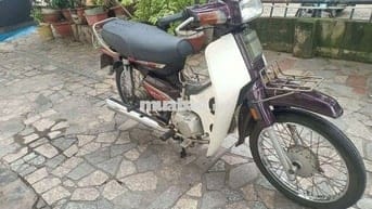 Xe dream Hàn Quốc
