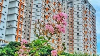 Dragon  Hill 2- 51,5m2 2pn 1wc, full NT mới, SHR. View Đông Nam (mát)