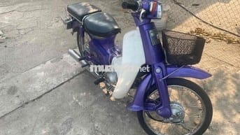 82/50cc nhật