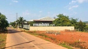 1.6tr/m2 đất Khu dân cư Thị trấn Tân Phú, cách CoopMart huyện đúng 1km