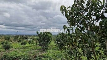 Mặt tiền xe tải 76m, 400m2 thổ cư, gần chợ ,trung tâm hành chính