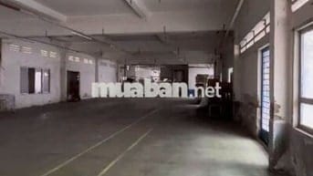 Kho diện tích 300m2 cần cho thuê gấp ở Đường Nguyễn Tất Thành có pccc