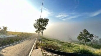 🔥[HOT] Duy nhất còn 1 lô tại NaLi Chill - Homestay and BBQ giá bán ch