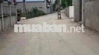❌❌CHÍNH CHỦ GỬI BÁN LÔ ĐẤT Đồng Mỹ❌❌                 (Lý Thường Kiệt,Y
