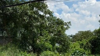Bán 90m2 đất lô góc tại Vĩnh Lộc, 8,2 tỷ, mặt tiền 4m, chính chủ uy tí