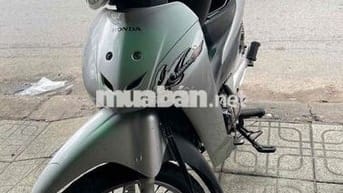 Anlpha 2006 Xương cá bstp 1 đời chủ