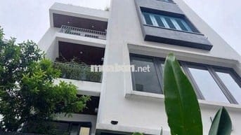 Cần cho thuê Villa 25A Đường CN11 P.Sơn Kỳ Q.Tân Phú
