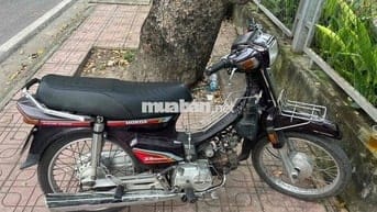 xe dream việt đời đầu