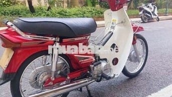 dream II thái đỏ