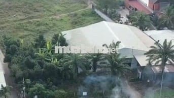 BÁN ĐẤT VỊ TRÍ VÀNG QL1A DO ĐI ĐỊNH CƯ NƯỚC NGOÀI