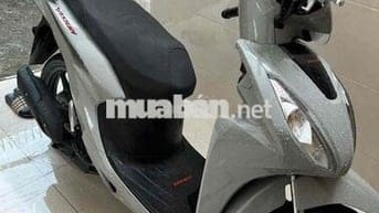 Vison xám ximang