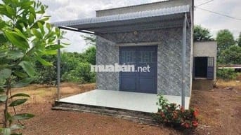 CẦN BÁN NHÀ VƯỜN CHƠN THÀNH 320 TRIỆU