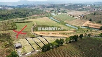 Đất nền nghỉ dưỡng Bảo Lộc – giá *** khu vực chỉ 6  triệu/m²