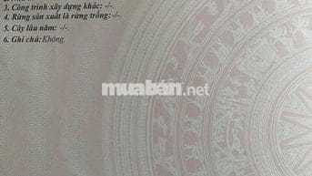SIÊU HOT-KHU DÂN CƯ ĐẤT LÀNH NHA TRANG- ÔNG ANH NHỜ BÁN