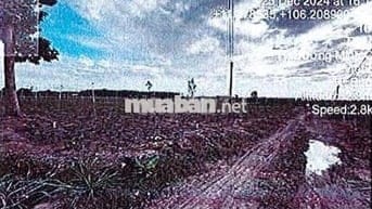 Bán ĐGTS đất tại xã Dương Minh Châu, tỉnh Tây Ninh