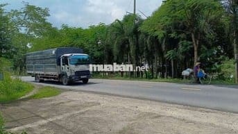 Xưởng Chánh Phú Hoà, 600m, đường nhựa, giá 15 triệu/tháng