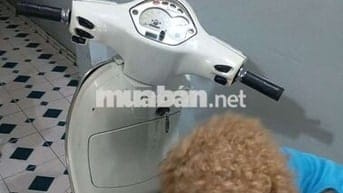 Cần bán xe cho ace nào cần