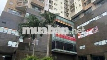 Chính chủ bán gấp CH Golden Place, Mễ Trì, 118m2, 3N,2WC, giá 11.55 tỷ