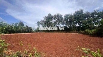 🕹 Siêu phẩm làm nhà vườn view đẹp 2 mặt tiền bám đường 57m gần 800m2 đ