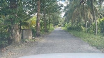 ĐẤT VƯỜN DỪA 1500 M2 ĐANG THU HOẠCH (CÓ 200 M2 THỎ CƯ), LỘ  NHỰA 5T  